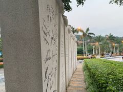 -黄金海岸环岛路