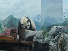 -武汉动物园