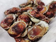 刚开壳的血蛤-圆蛋酒料•生腌(开元路店)