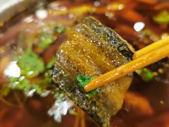 冷锅脆鳝-高坎一品甲鱼庄(两河店)