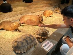 -Zoolung Zoolung动物主题公园(海信广场店)