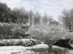 -苏州河梦清园环保主题公园