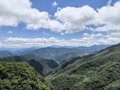 -牛背梁国家森林公园