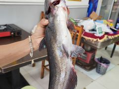 -苗侗地道红酸.酸汤鱼·酸汤牛肉