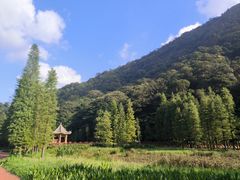 -广州市石门国家森林公园