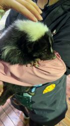 -Zoolung Zoolung动物主题公园(海信广场店)