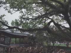 -江心屿景区