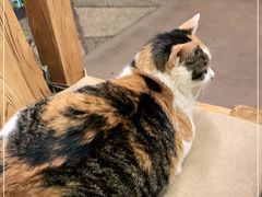 -天一朴素(武汉大学店)