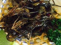 醉虾-碧丽宫大酒店(召稼楼店)