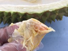 -SS2 榴梿鲜生