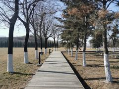 -汉长安城未央宫国家考古遗址公园