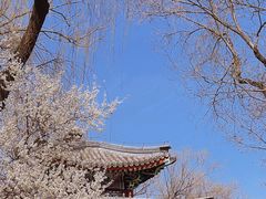 -颐和园