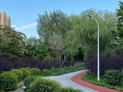 -绿堤公园