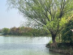 -苏州太湖国家湿地公园