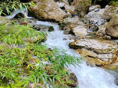 -西岭雪山大飞水景区