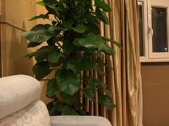 -宏宴·新京菜(望京店)