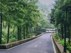 -莫干山风景区