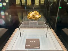 -安徽省地质博物馆