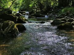 -广州市石门国家森林公园