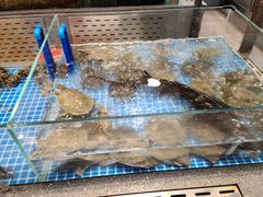 -半岛听涛蒸汽海鲜自助(K11店)