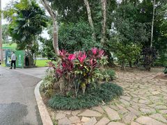 -中国科学院西双版纳热带植物园