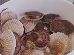 -苏大嘴蒸汽海鲜·海胆蒸饺(中山广场店)