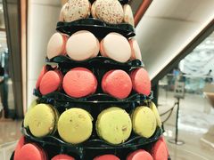 -PAUL LAFAYET 法式甜品(港汇广场店)