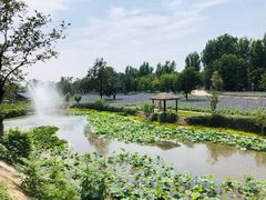 -静之湖湖畔餐厅