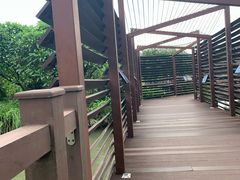 -海珠湖公园