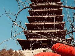 -牛首山文化旅游区