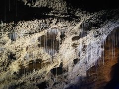 -怀托摩萤火虫洞