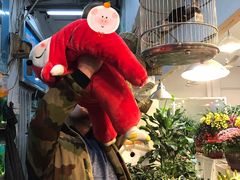 -双季花艺园艺市场(浦东店)