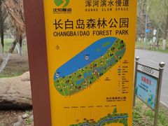 -长白岛森林公园