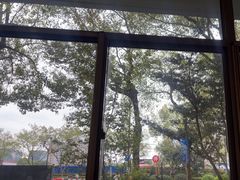 -榖屋house of flour(张江首店)