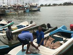 -尼甘布海鲜市场