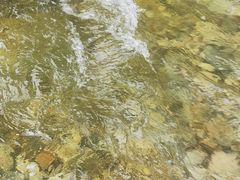 -秦岭风景区