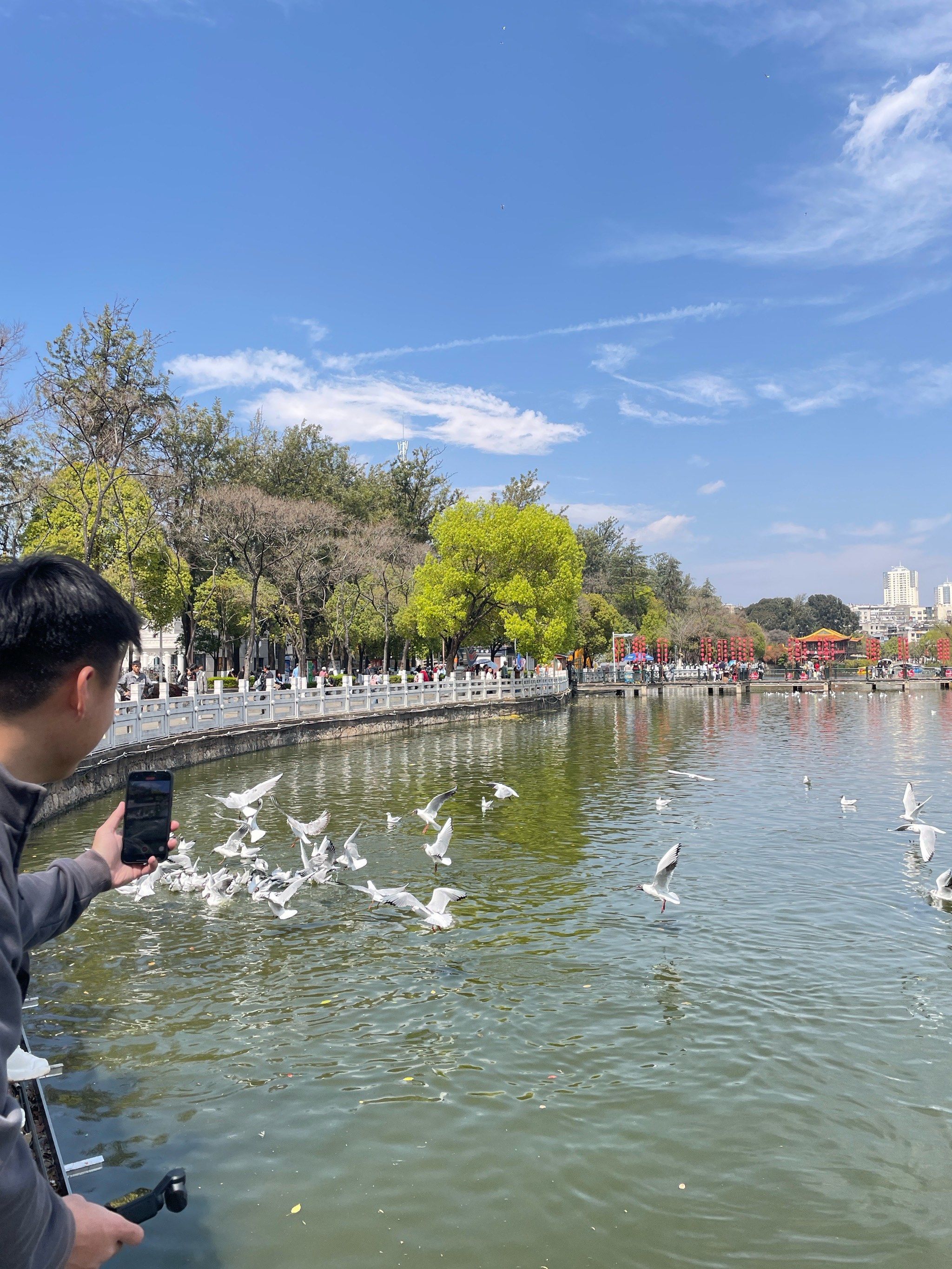 昆明翠湖公园详细攻略