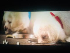 -武汉华夏国际影城(鲁广店)