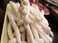 -大龙火锅(老店)