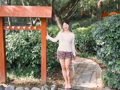 -佛冈森波拉度假区