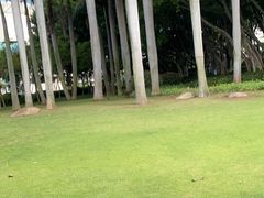 -白鹭洲公园