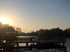 -新江湾城公园