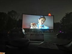 -枫花园汽车电影院(朝阳公园店)