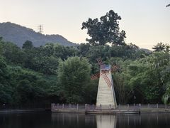 -大屏嶂森林公园
