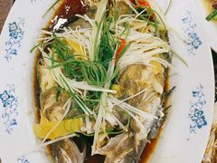 黄鱼-张树军海鲜(王府壹号店)