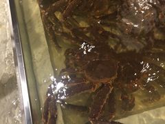 -蟹将军·松叶蟹和牛日料放题自助(K11店)