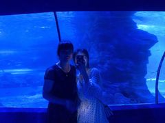 -左海海底世界