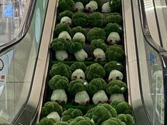 -中海环宇荟