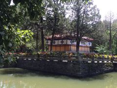 iphone_upload_pic-罗布林卡
