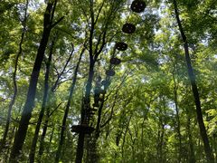 -WeLope紫金山探险公园